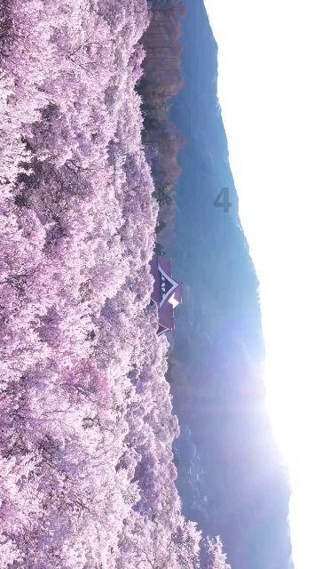 广西自建房安全专项整治取得积极成效