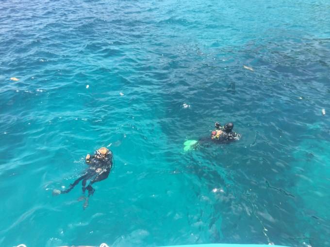 废旧锂电池溶剂提取锂钴镍的流程